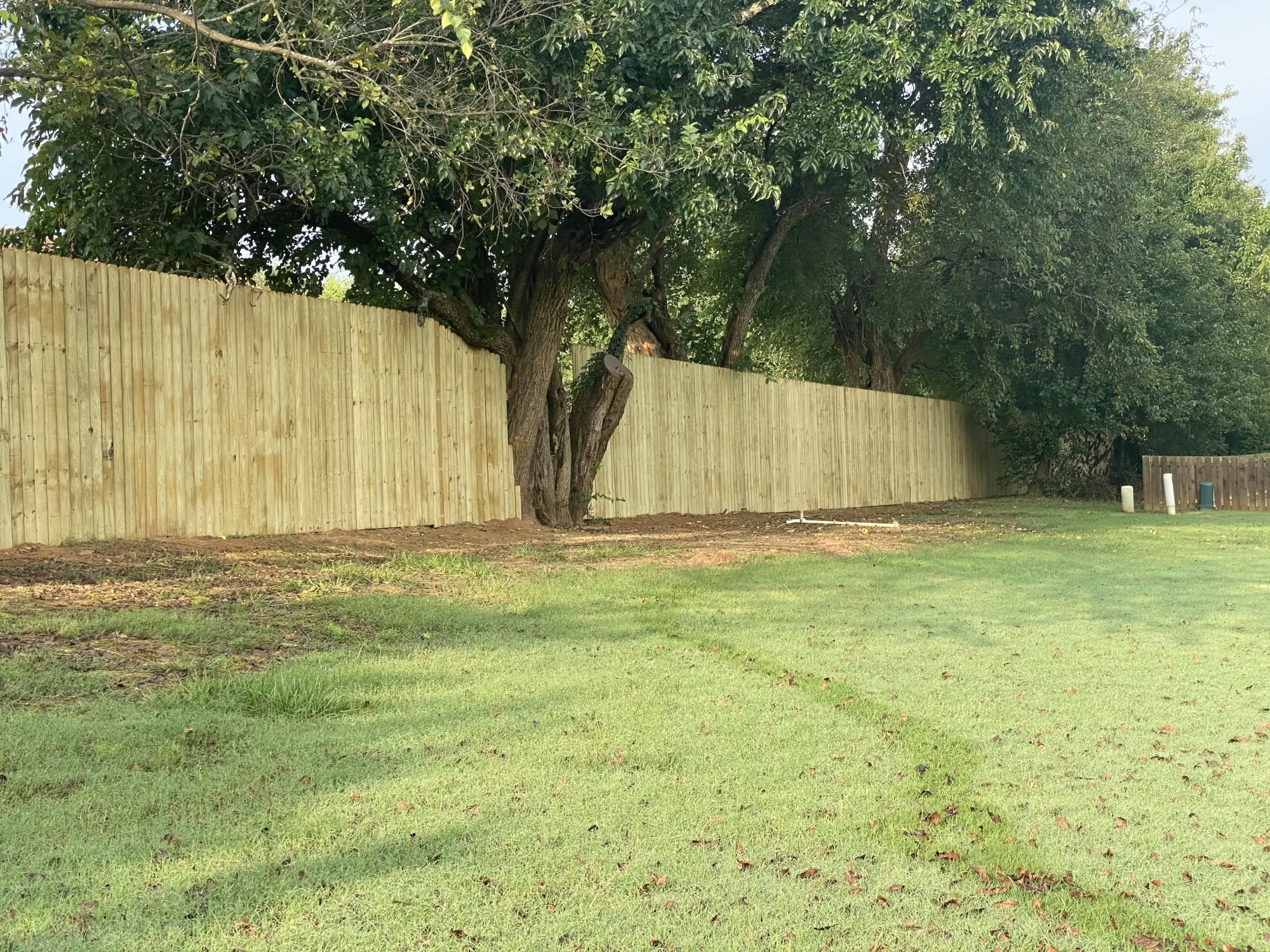 Residential wooden fence around large back yard